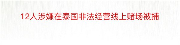 12人涉嫌在泰国非法经营线上赌场被捕