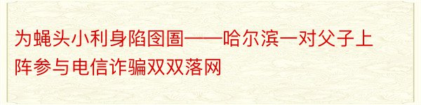 为蝇头小利身陷囹圄——哈尔滨一对父子上阵参与电信诈骗双双落网