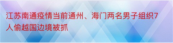 江苏南通疫情当前通州、海门两名男子组织7人偷越国边境被抓