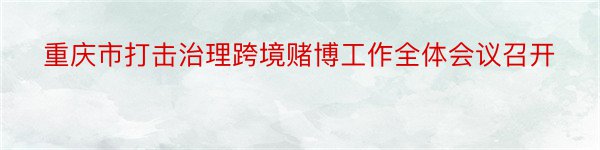 重庆市打击治理跨境赌博工作全体会议召开