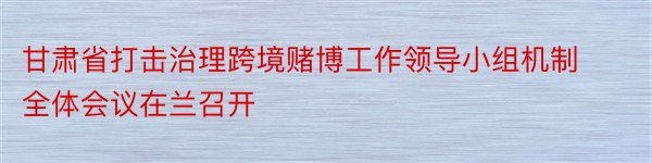 甘肃省打击治理跨境赌博工作领导小组机制全体会议在兰召开