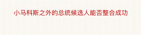 小马科斯之外的总统候选人能否整合成功