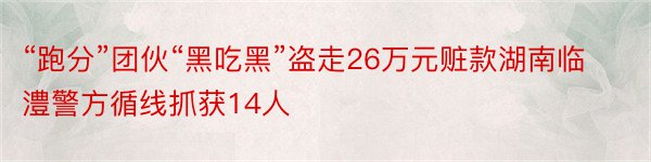 “跑分”团伙“黑吃黑”盗走26万元赃款湖南临澧警方循线抓获14人