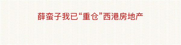 薛蛮子我已“重仓”西港房地产