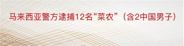 马来西亚警方逮捕12名“菜农”（含2中国男子）