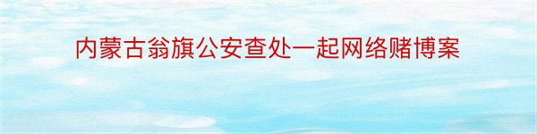 内蒙古翁旗公安查处一起网络赌博案