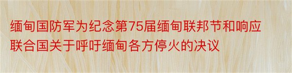 缅甸国防军为纪念第75届缅甸联邦节和响应联合国关于呼吁缅甸各方停火的决议